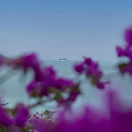 Del Golfo - Vista Incredibile - Arte - Relax 라이구에글리아